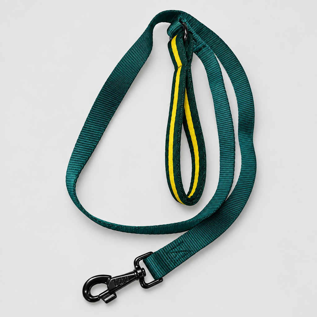 Standard lead with soft handle
