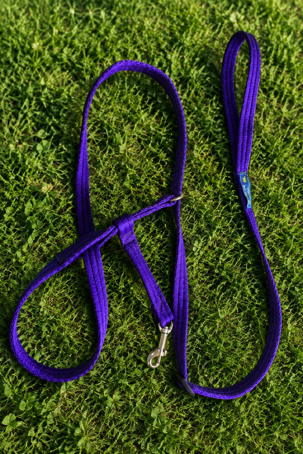 Figure of eight with all in one lead