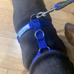 Comfort Harness for superior comfort for active dogs…