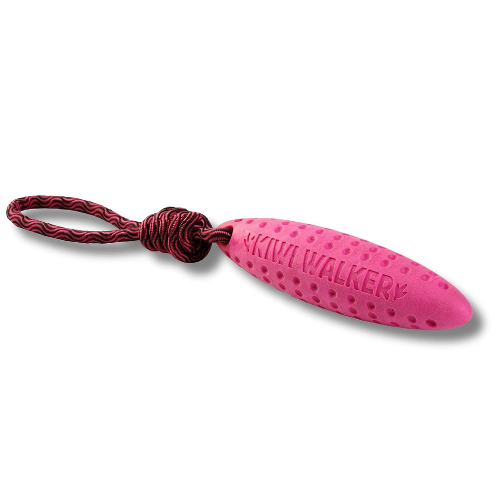 KIWI Walker ZEPPELIN Dog Toy - MINI