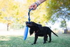 KIWI Walker ZEPPELIN Dog Toy - MAXI