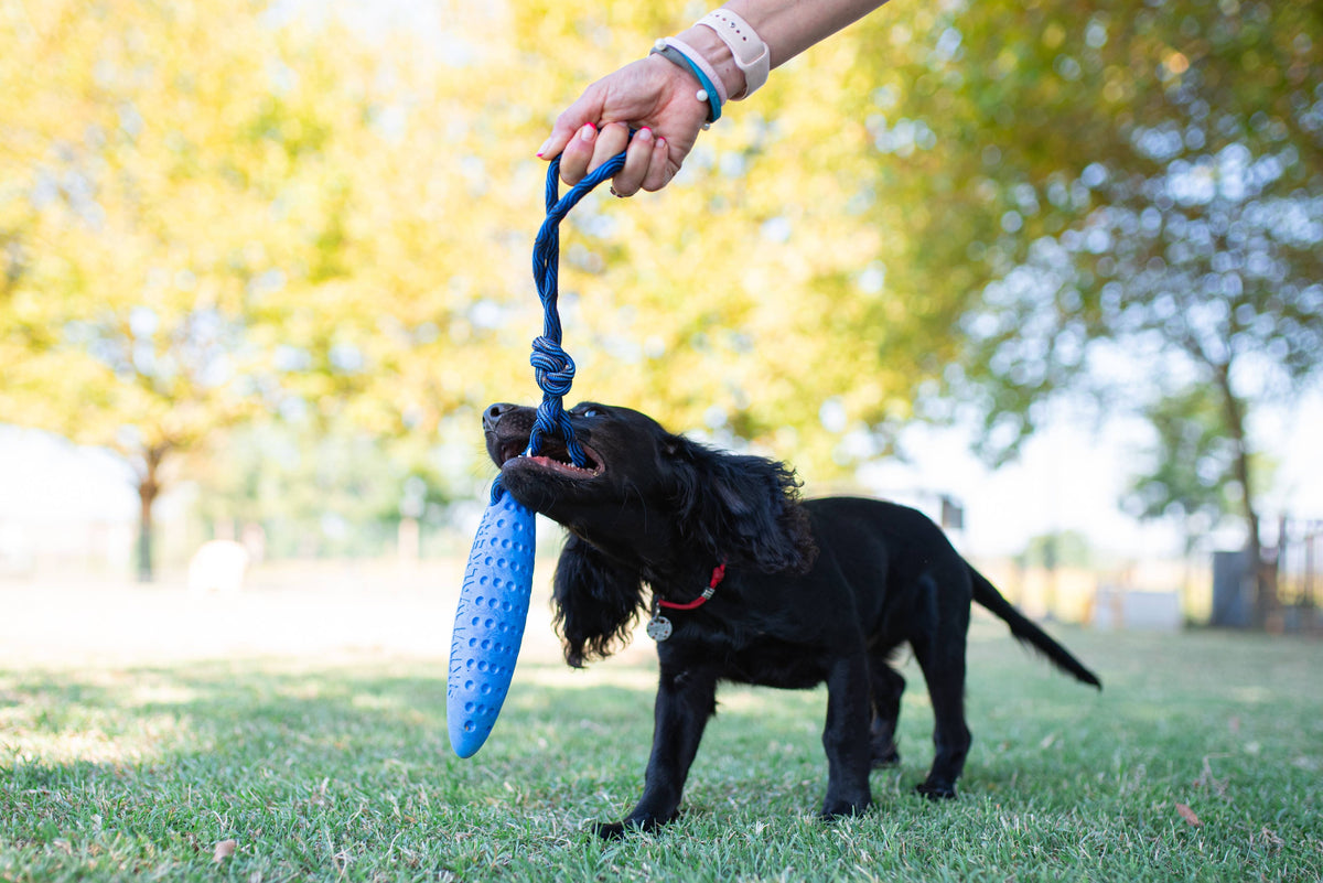 KIWI Walker ZEPPELIN Dog Toy - MAXI