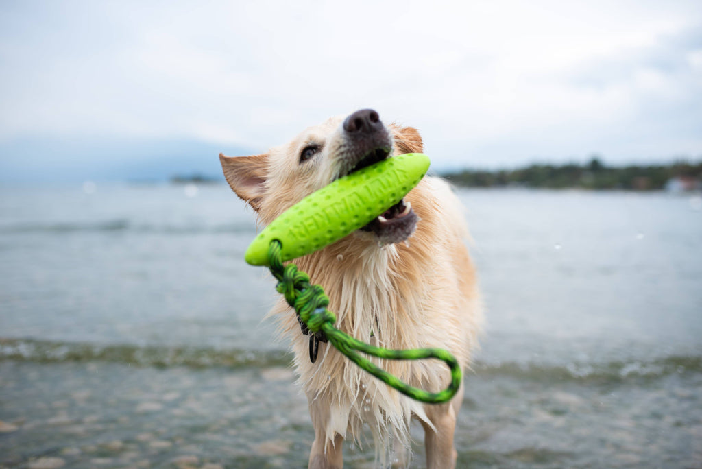 KIWI Walker ZEPPELIN Dog Toy - MAXI
