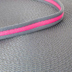 Heavy Duty Lead/Big Dog Lead/Horse Lead Rope