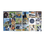 A Dog's Life Gift Book | Fundraising for DogsTrust