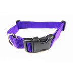Attractive Side Release Collars in Flat Webbing.