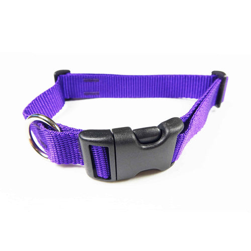 Attractive Side Release Collars in Flat Webbing.