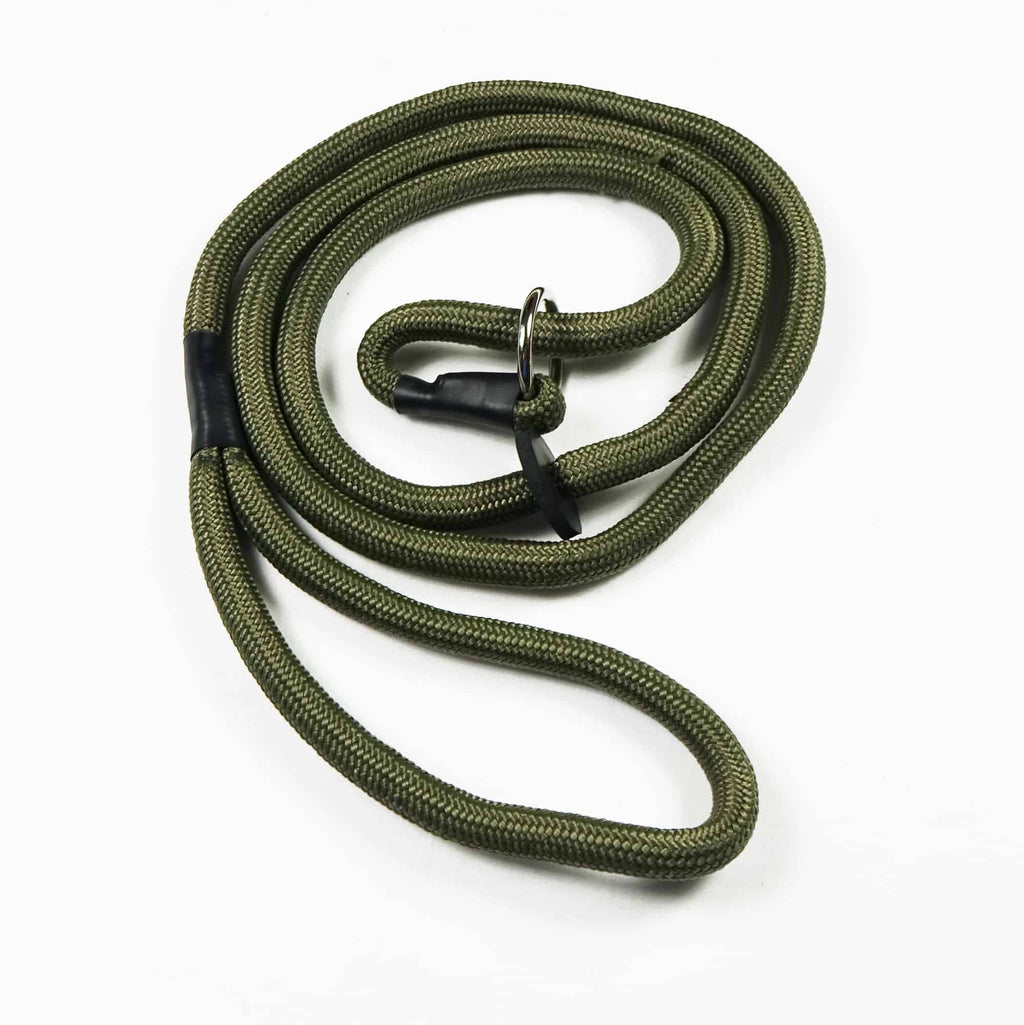 Gun Dog /Slip lead