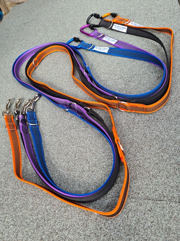 Lockable Carabiner Safety Dog Training Leads