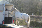 The Easy Loader horse aid