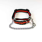 Shepherd’s Dog Collar
