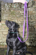 Training/double ended Lead