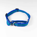 Martingale/Sighthound collar