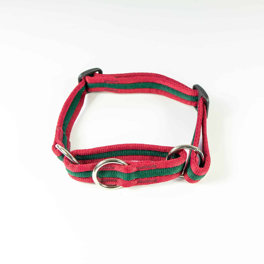 Martingale/Sighthound collar